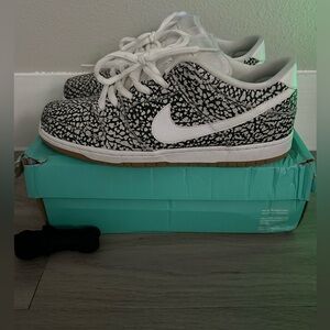 Nike Dunk Low SB (Road)